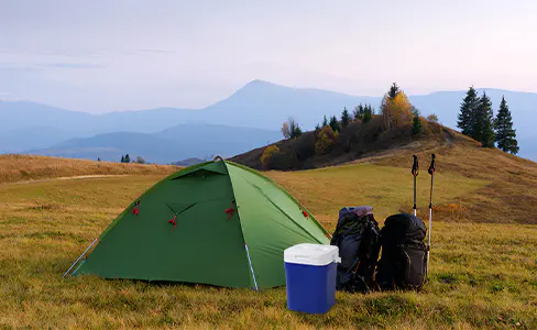Nevera ergonómica con aislamiento de espuma de 12 litros y agarre texturizado