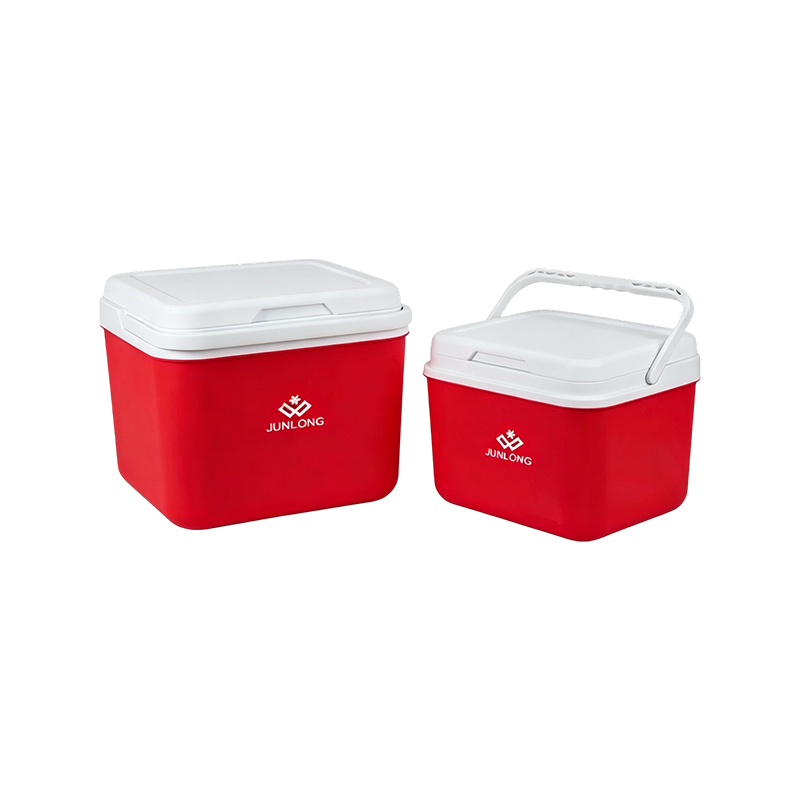 Mini nevera portátil con aislamiento para almuerzos y viajes cortos