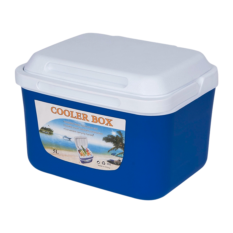 Caja pequeña de refrigeración para exteriores de 5 litros para picnics
