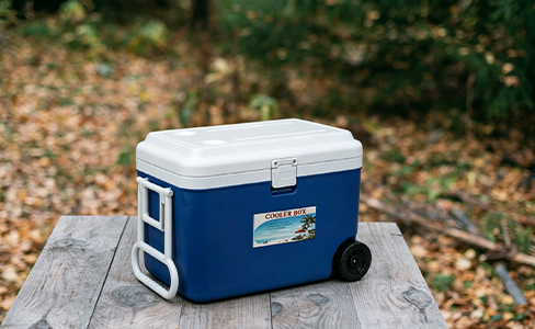 Caja frigorífica deportiva grande de 50 litros con rueda