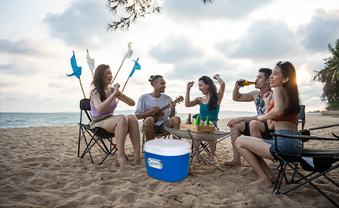 Caja de hielo aislada portátil de 14 l para acampar, hacer picnic y pescar
