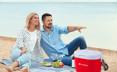 Refrigerador aislado de 28 L con correa para el hombro para playa y camping